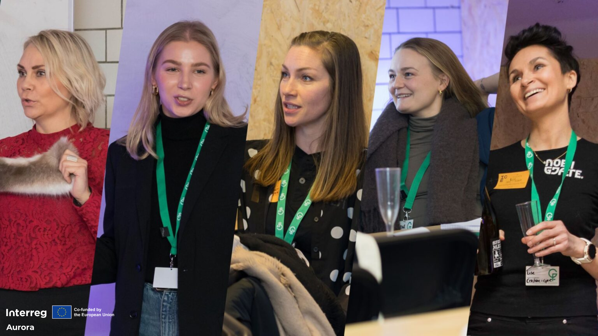 View of Faces of entrepreneurship in the Northern Norway - Arctic Economic Council